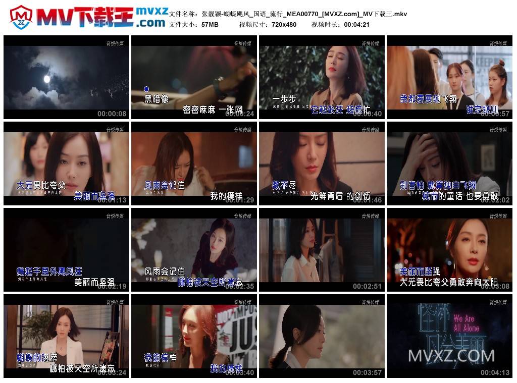 张靓颖-蝴蝶飓风_国语_流行_MEA00770